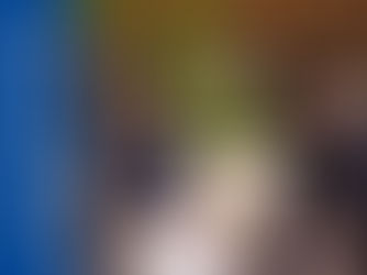 数字で見る！プラスの「制度」