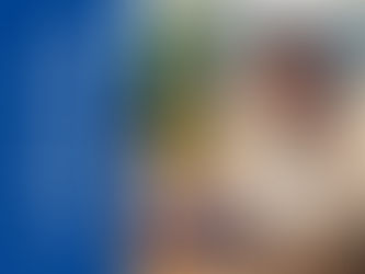 数字で見る！プラスの「制度・実績」