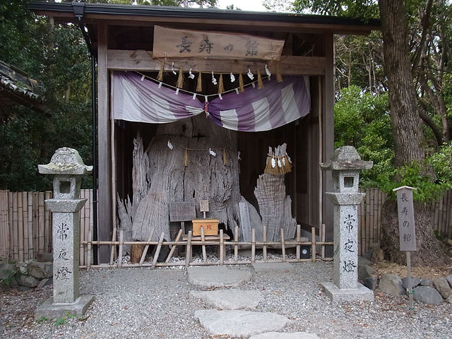 長寿の館