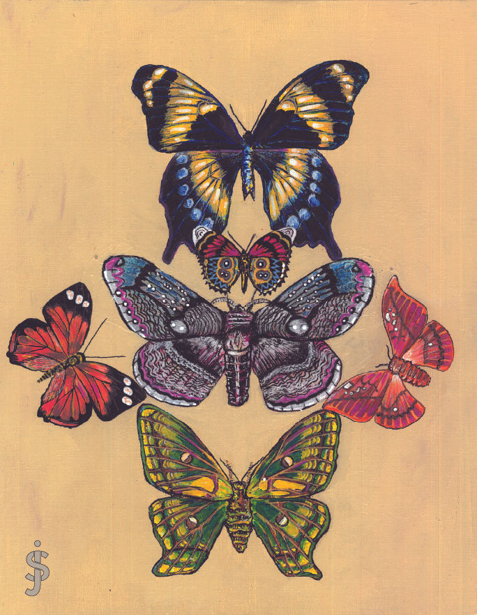 The Metamorphoses