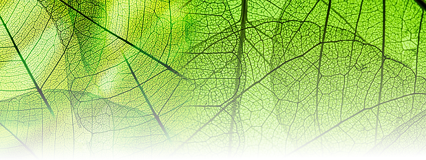 AdobeStock_142001247 SML2.png