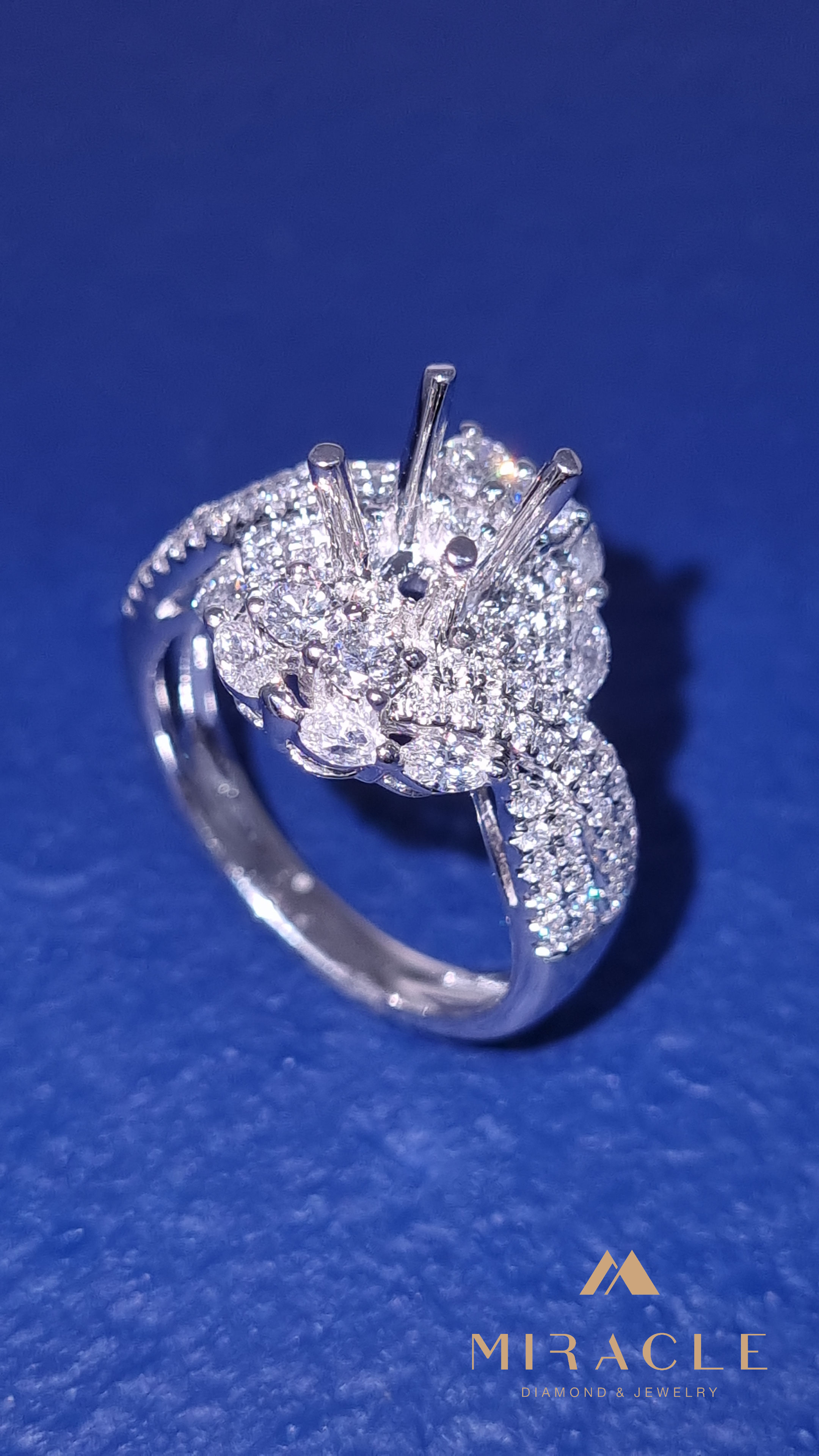 Vỏ nhẫn kim cương NXV1005