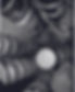 foto graficolor 1.jpg