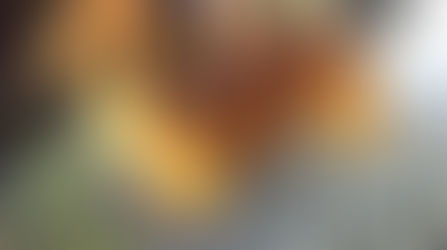 Flotte Friarhaugens CC Chamott