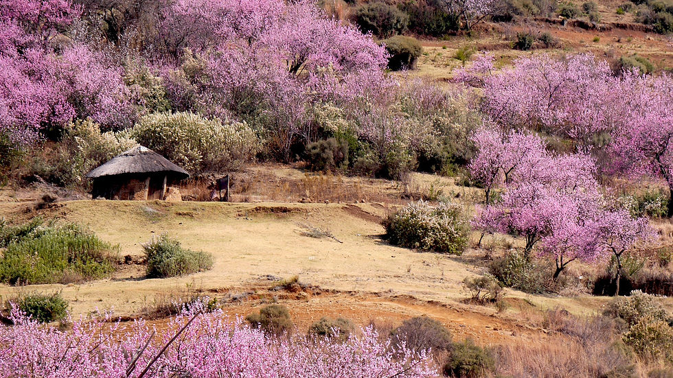 lesotho-927564_1920.jpeg