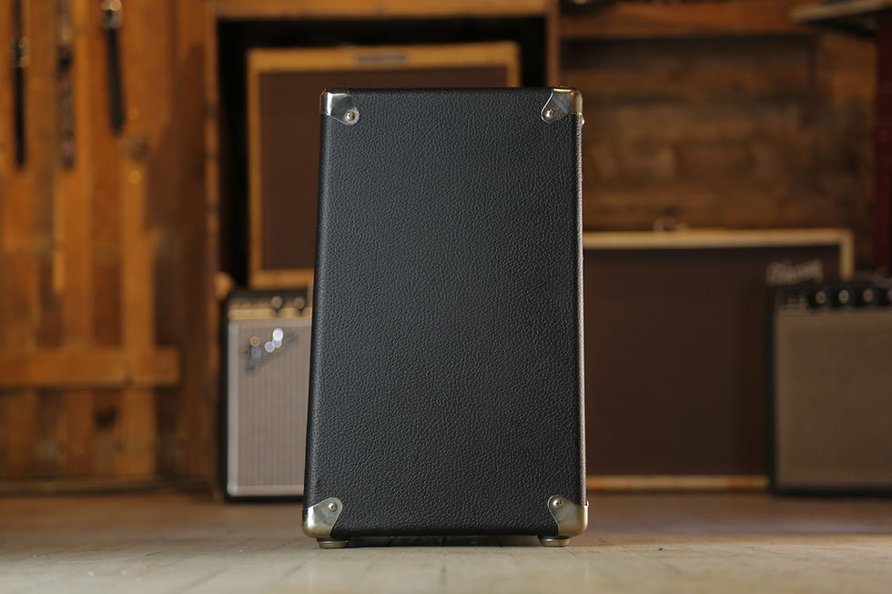 Miniature : Fender Cabinet Dt-112