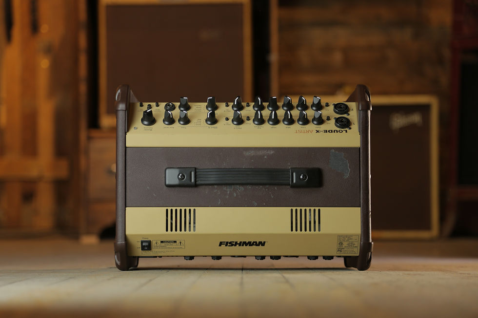 Miniature : Fishman Loudbox Artist PRO-LBX-600 2016