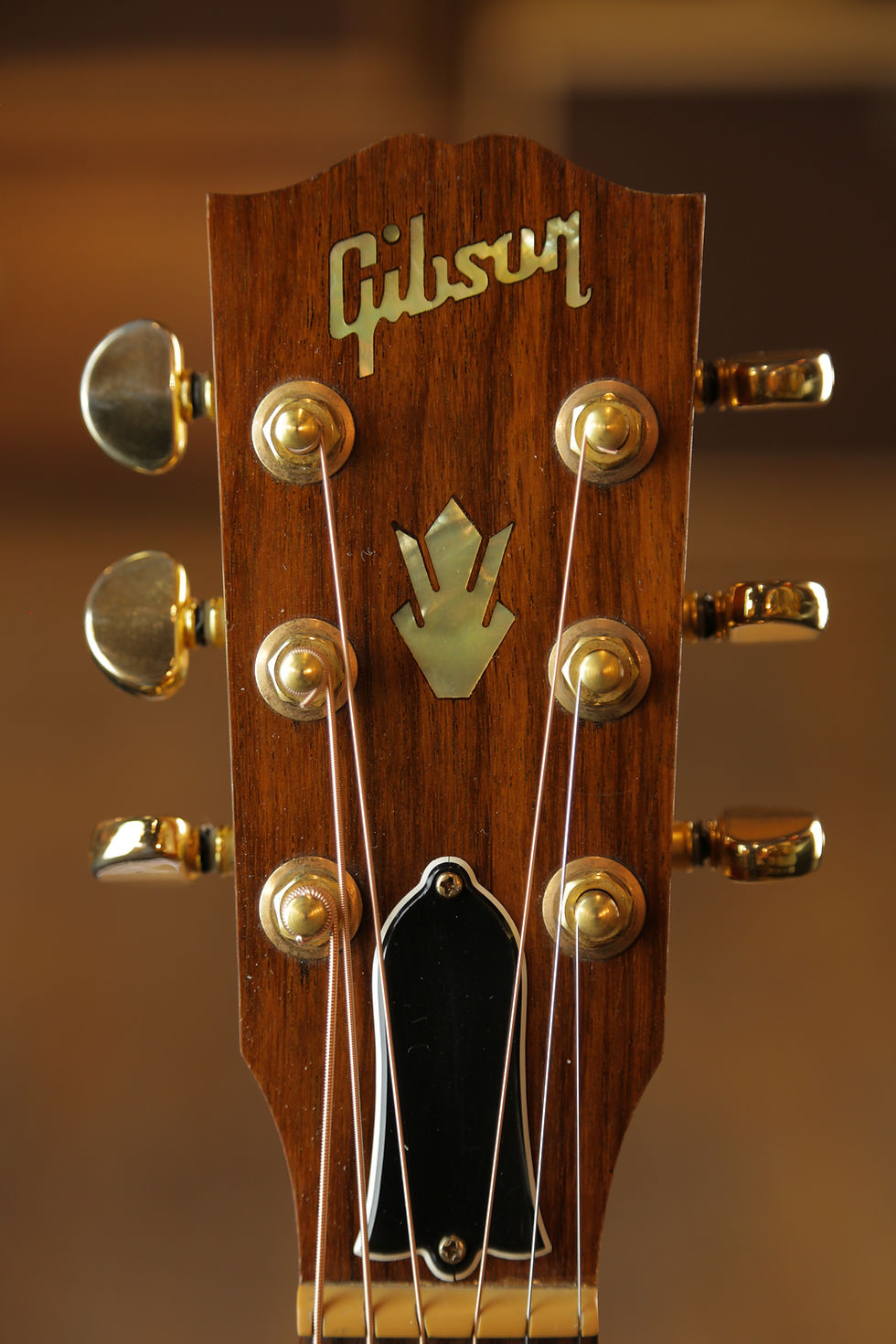 Thumbnail: Gibson Songbird Deluxe Natural 2001