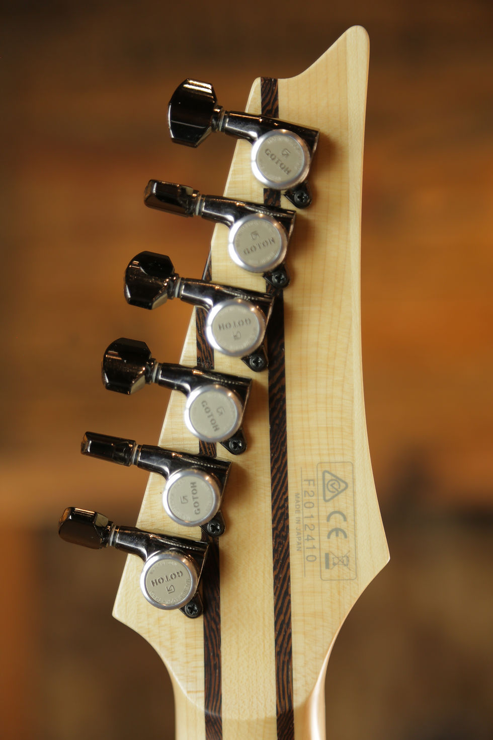 Thumbnail: Ibanez RGR5221-TFR Prestige 2020