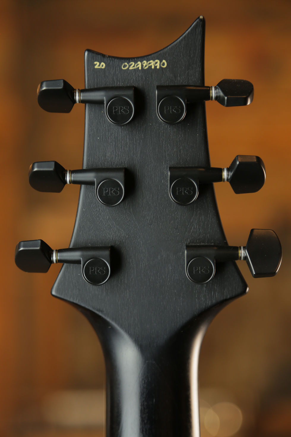 Miniature : PRS Dustie Waring Signature CE 24 Floyd 2020