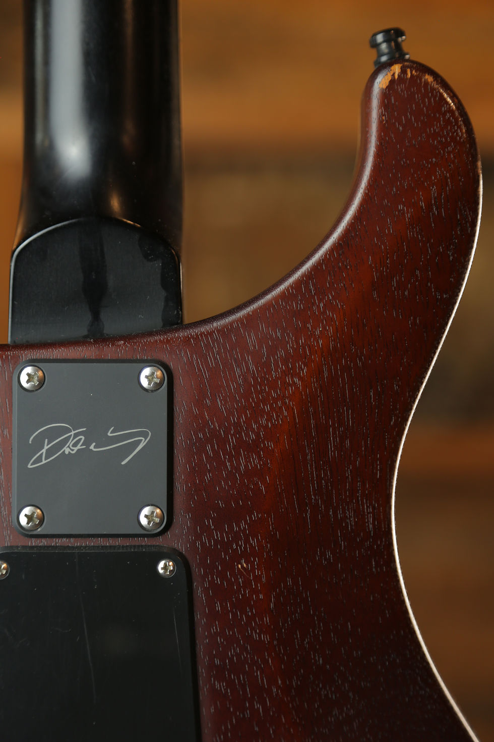 Miniature : PRS Dustie Waring Signature CE 24 Floyd 2020