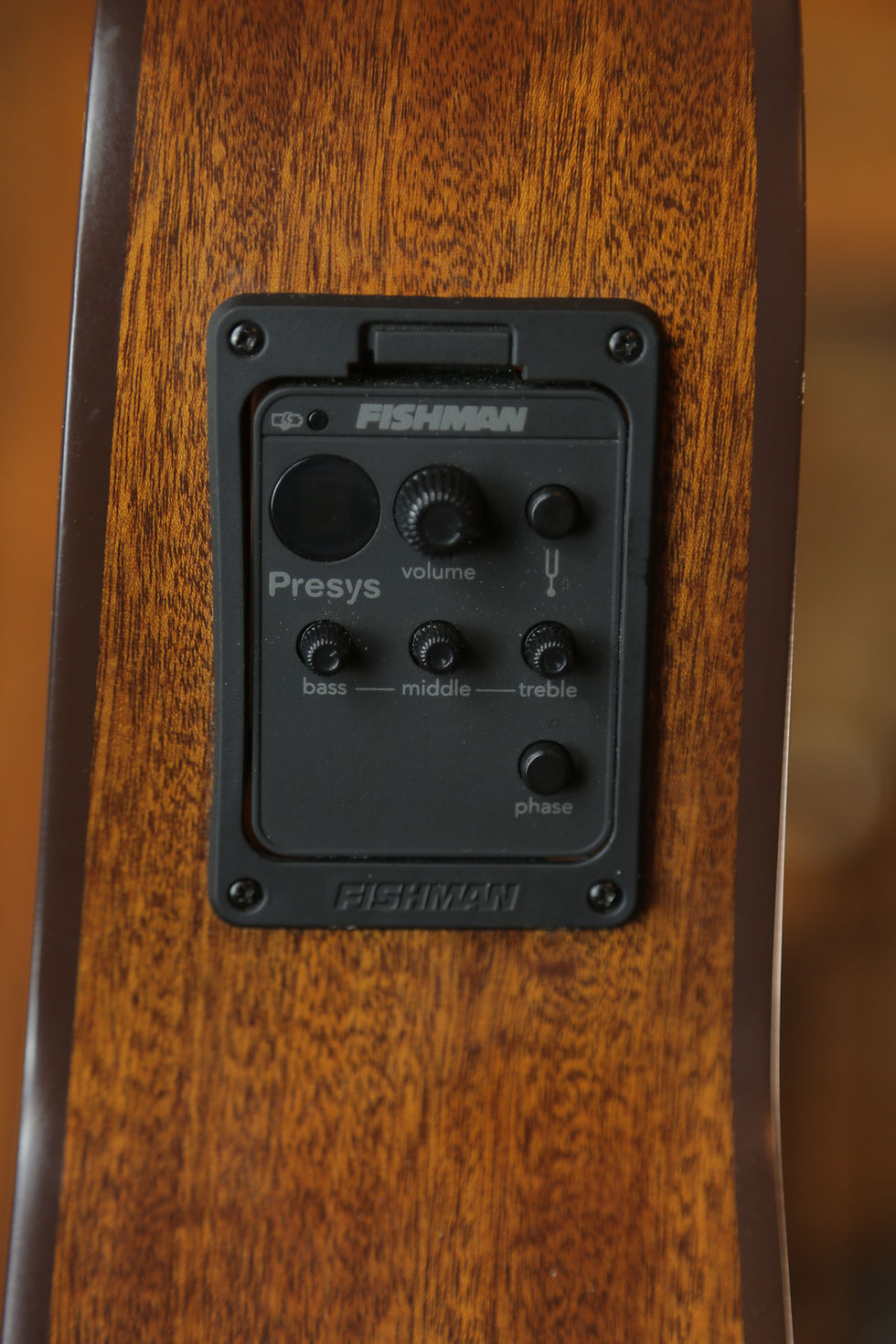 Thumbnail: Norman Studio ST40 Folk Presys