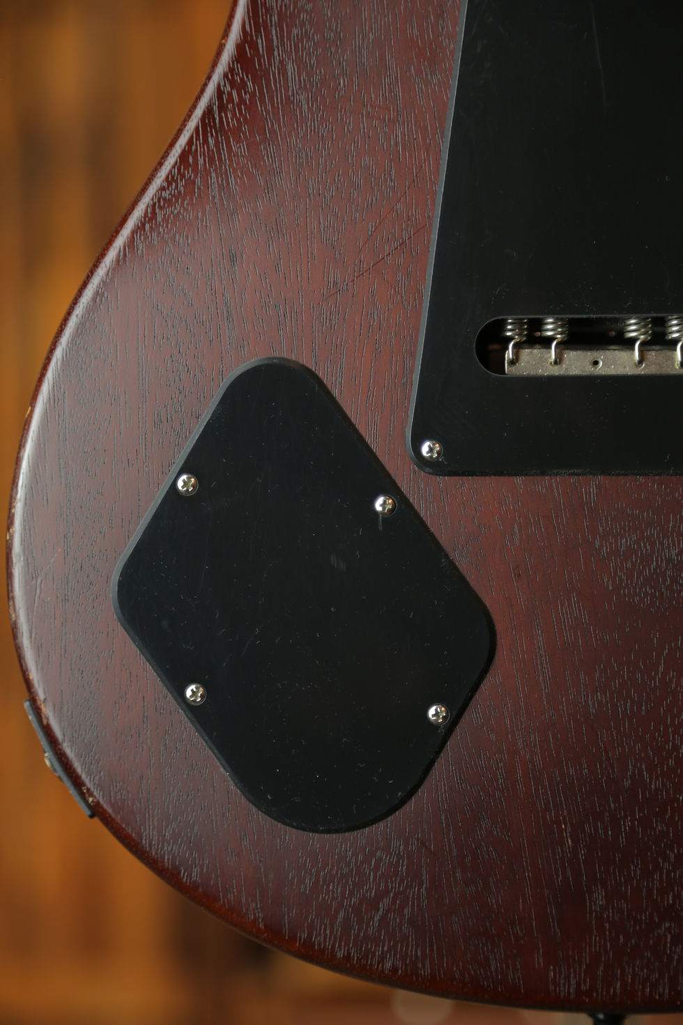 Miniature : PRS Dustie Waring Signature CE 24 Floyd 2020