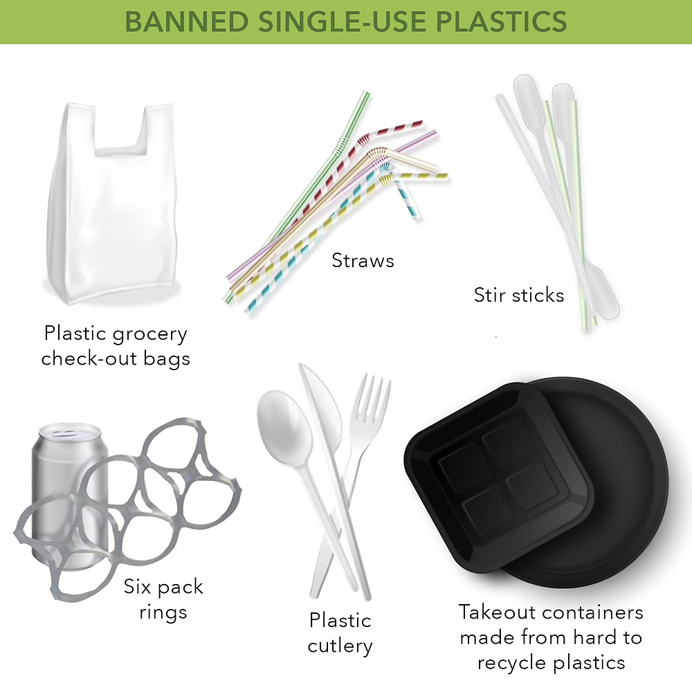 Image of the list of banned single use plastics