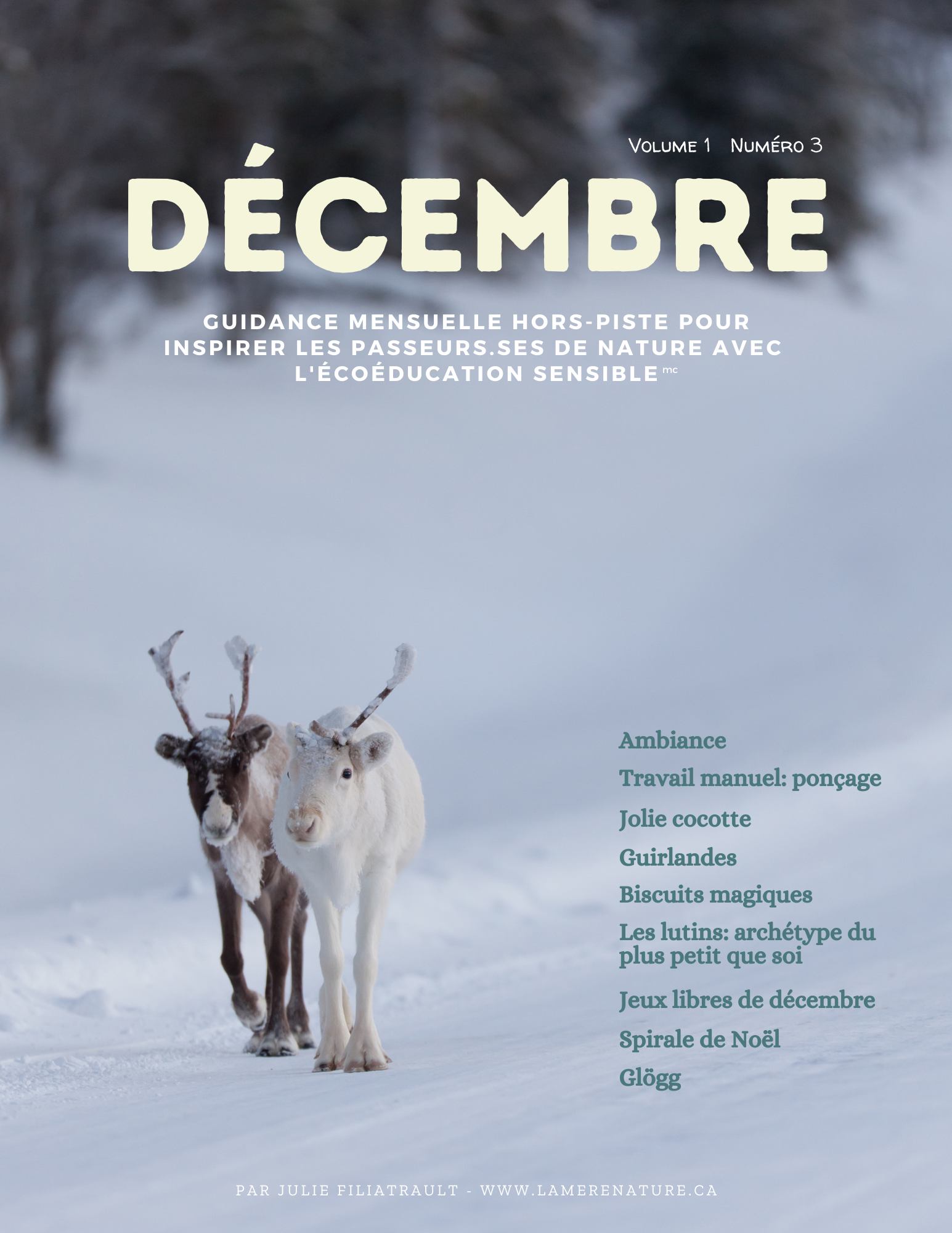 DÉCEMBRE: Guidance mensuelle hors-piste pour passeurs.es de nature