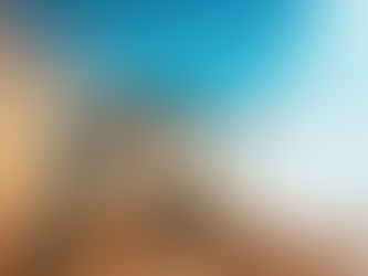 Vom Sport zum Unternehmertum!