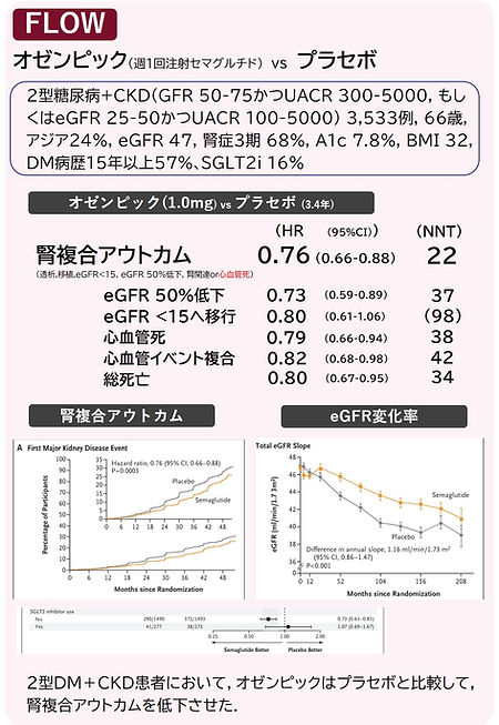 FLOW オゼンピック セマグルチド 腎イベント DKD