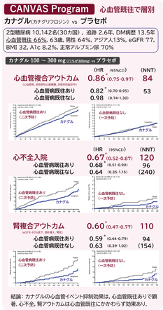 CANVAS　心血管　一次予防　二次予防　カナグリフロジン　カナグル