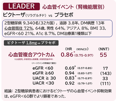 ビクトーザ リラグルチド LEADER GLP-1 心血管イベント 腎機能別
