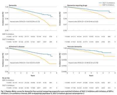 【SGLT2iが認知症リスク低下と関連(BMJ)】
韓国国民健康保険データ
SGLT2i or DPP4iを開始した40~69歳の2型DM11万人をPSマッチ
SGLT2i vs DPP4iで
認知症発症HR 0.65(0.58〜0.73)
薬剤要する認知症 0.54(0.46〜0.63)
アルツハイマー型認知症 0.61(0.53〜0.69)
脳血管性認知症 0.48(0.33〜0.70)
コントロールとして
変形性関節症関連 0.97(0.95~0.98)
白内障手術 0.92(0.89~0.96)
残余交絡はあるのでリスク比は過大評価されていると思いますが、コントロールもあってしっかりしたデザイン。結構正しいのかもしません。。。
レカネマブどうこうより、一般内科医としては、スタチン、メトホルミン、SGLT2iでしっかり治療することが大事か。続報に期待したいです。