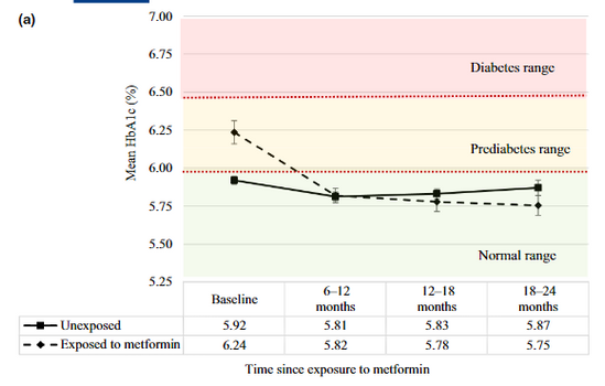 メトホルミンはどのように作用しますか?