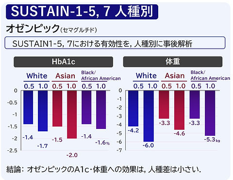 オゼンピック SUSTAIN 人種別