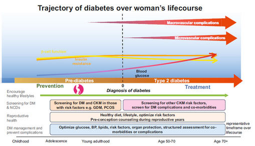 【糖尿病と女性のライフスタイルに関するレビュー(JDI)】
1. 早期ライフステージ
巨大児・低出生体重が女性の将来T2DMリスクを高める。小児肥満増が若年発症T2DMを後押し。
2. 思春期・青年期
思春期にインスリン抵抗性がピーク。女児はHbA1c悪化・運動量低下・摂食障害リスクで管理困難に注意。
3. 生殖年齢:PCOSと糖尿病
PCOSは女性の11–13%。75–95%がインスリン抵抗性。40歳未満T2DMの主要因、定期OGTT推奨。
4. 妊娠期:妊娠糖尿病(GDM)
妊婦6人に1人がGDM。既往女性はT2DM発症7–11倍、子も肥満・糖代謝異常が連鎖。
5. 産後ケアと二次予防
産後6–12週OGTT、授乳、生活指導でT2DM発症遅延。早期介入は費用対効果良好。
6. 既存糖尿病合併妊娠
T1DM/T2DM合併妊娠は妊前HbA1c<6.5%・TIR>70%目標。CGM・ハイブリッド閉ループで転帰改善。
7. 心血管疾患と性差
糖尿病女性は男性より冠動脈疾患死亡リスク+58%、T1DM女性で血管イベント約2倍。治療ギャップが背景。
8. その他の合併症
骨粗鬆症、認知症、うつ、複数がんリスク上昇。閉経後・高HbA1c・長期罹病で骨密度評価要。
9. 非生物学的要因
男女格差と社会的決定要因によりリスク管理不足。ジェンダーレンズを診療・研究に組み込む必要。
10. 将来の方向性
プレコンセプション栄養指導、地域連携プログラム、デジタルツール活用でライフコース介入を推進。
https://pubmed.ncbi.nlm.nih.gov/40492908/