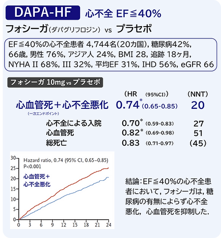 フォシーガ　ダパグリフロジン　糖尿病　SGLT2阻害薬　DAPA-CKD　HF　糖尿病有無　NEJM　プラセボ　心不全 EF　HEFrF