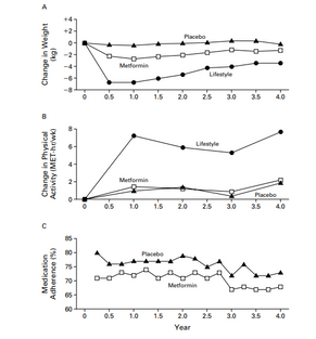 DPP　メトホルミン　食事運動　糖尿病　予防　発症