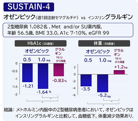 オゼンピック SUSTAIN-4 グラルギン
