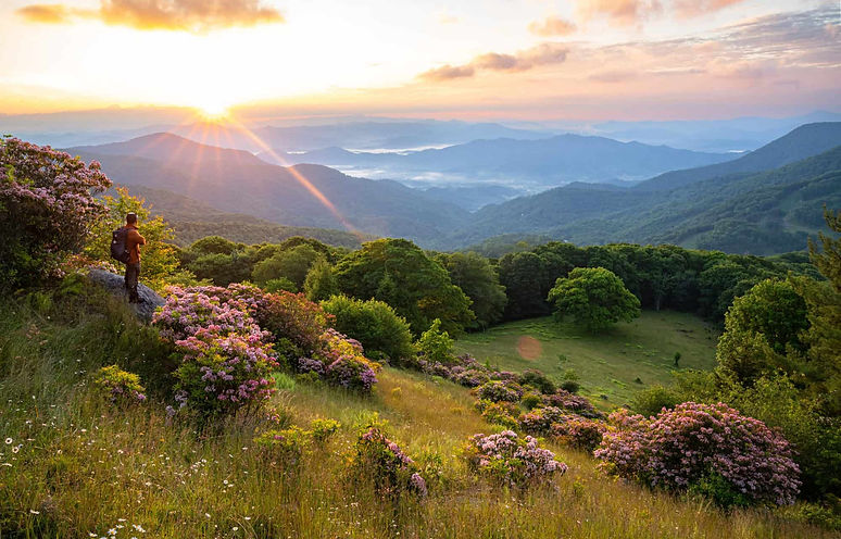 Hemphill Bald Haywood County.jpg