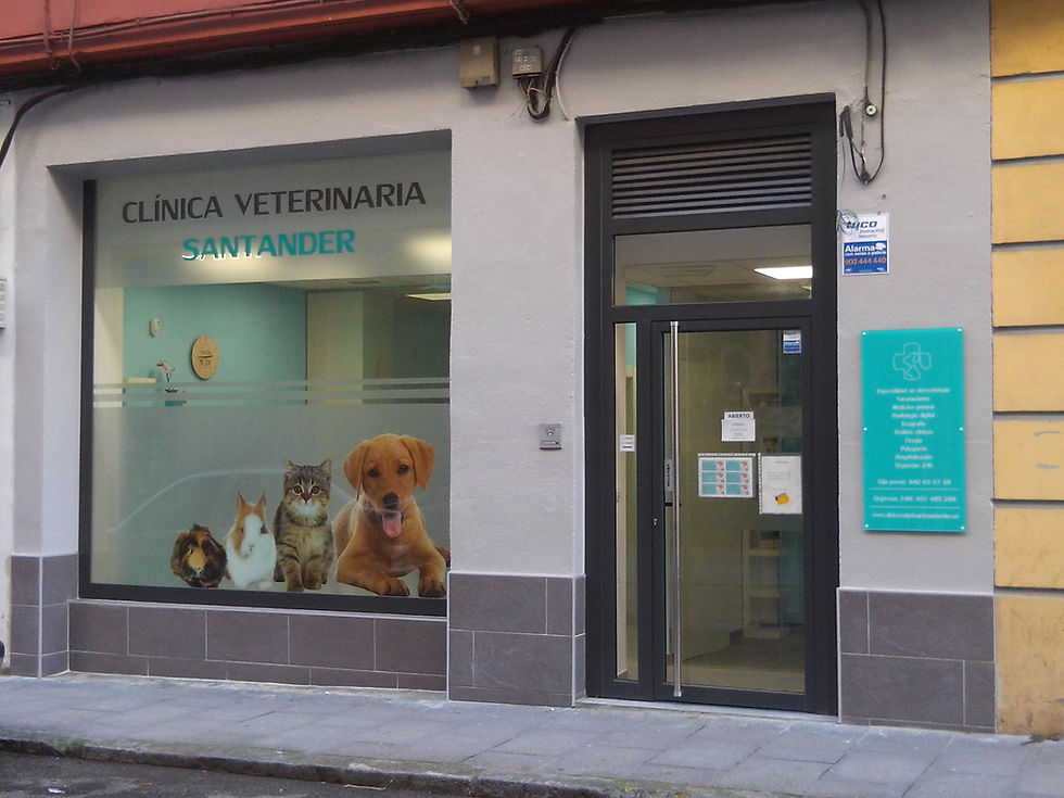 Clínica Veterinaria Santander