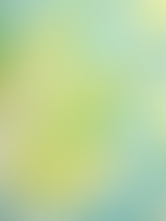 Watercolor leaves all in greens