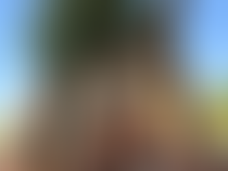  Sabal Palms 101: Why Florida's State Tree Is the Best Investment for Your Property