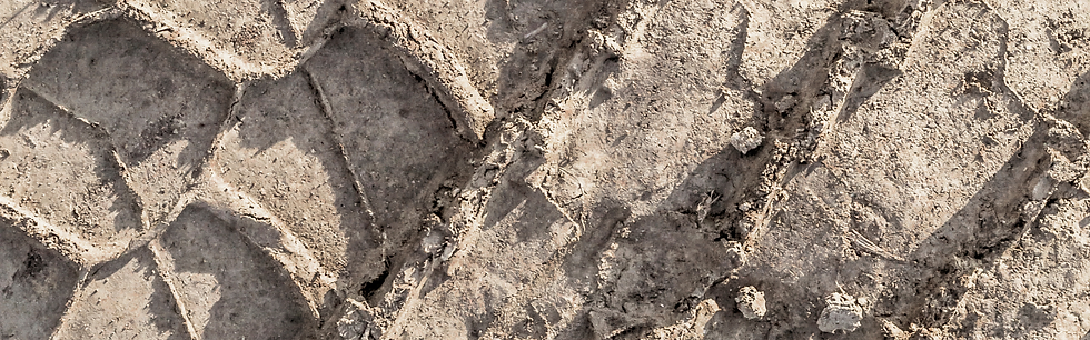Untitled design (3).png