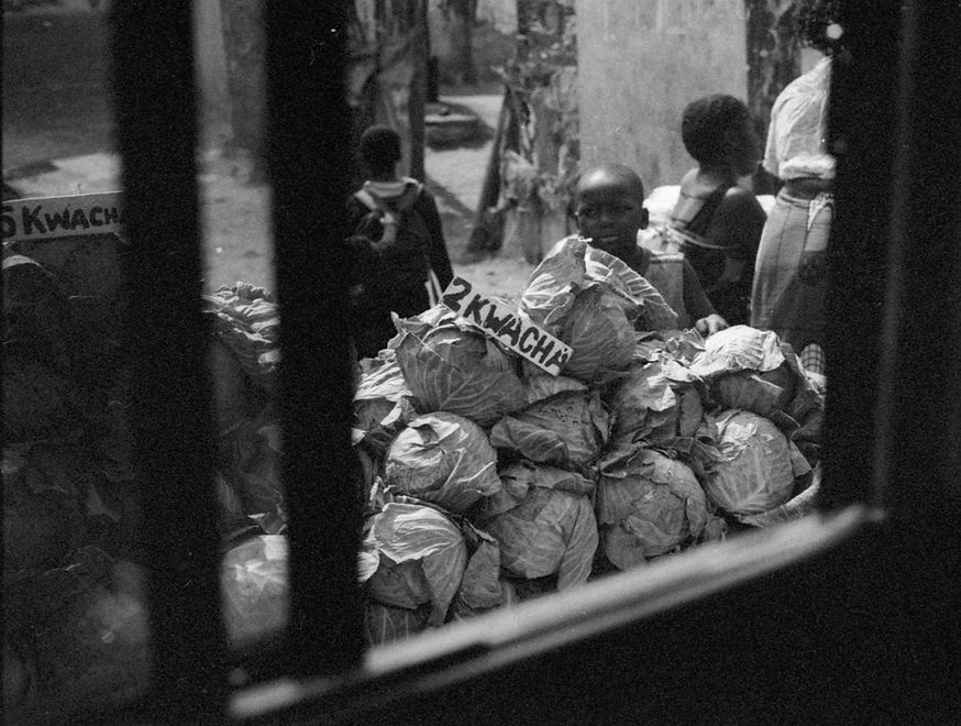 Family Legacy-86.jpeg