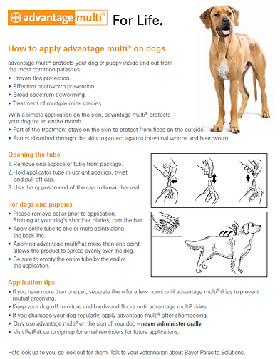 Advantage Multi How to Apply (002) (1).P