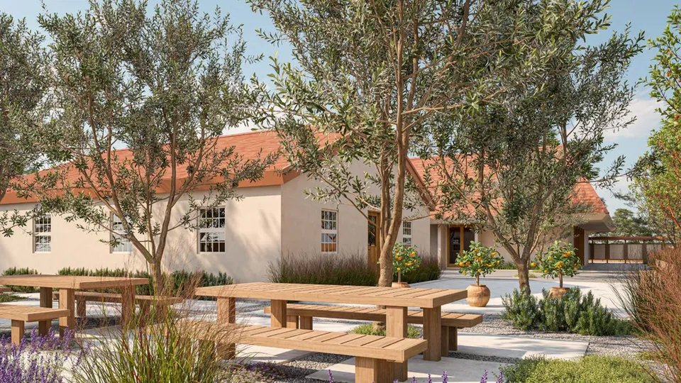 Rendering of new outdoor tables and citrus trees in the UAMEZ courtyard beside the Little House