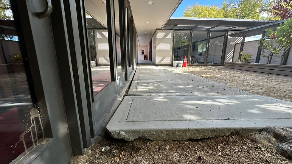 Concrete slab lifted and broken by tree roots along the UAMEZ breezeway