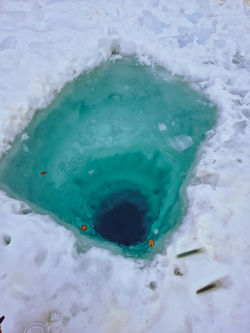 Plongée sous glace © Pierre Muller (29)
