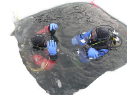 404266091_122156134256007453_6581095909512564418_n