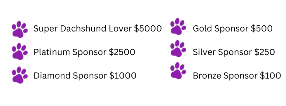 DR Sponsor.png