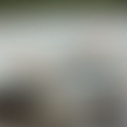 Amplifying Entrepreneurship in Alexandria, MN