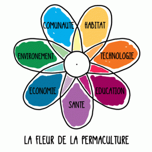 Fleur-de-la-permaculture-q0jtdiqwv05iv8dy5gshn2otfz4hbe9rhyquaj5jug.gif