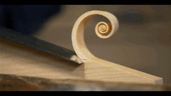 breathtaking-wood-carving-technique-5n69g2h7dasu9l12.gif