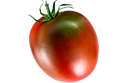 tomate 3