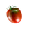 Tomato 3