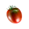 tomate 3