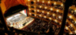Orchestra (Small).jpg