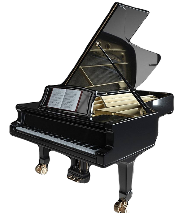 Piano Lesson (Small) 1